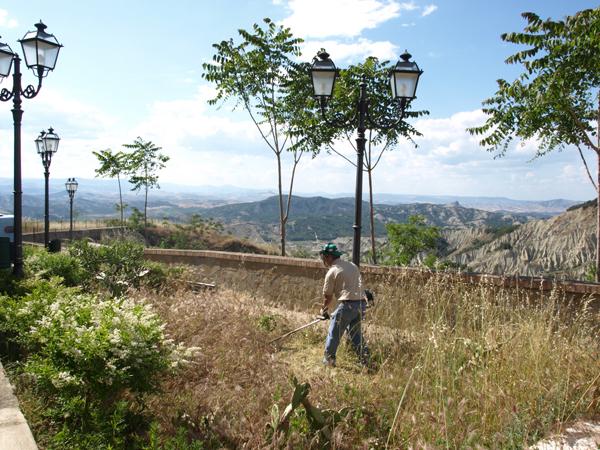 manutenzione verde.jpg